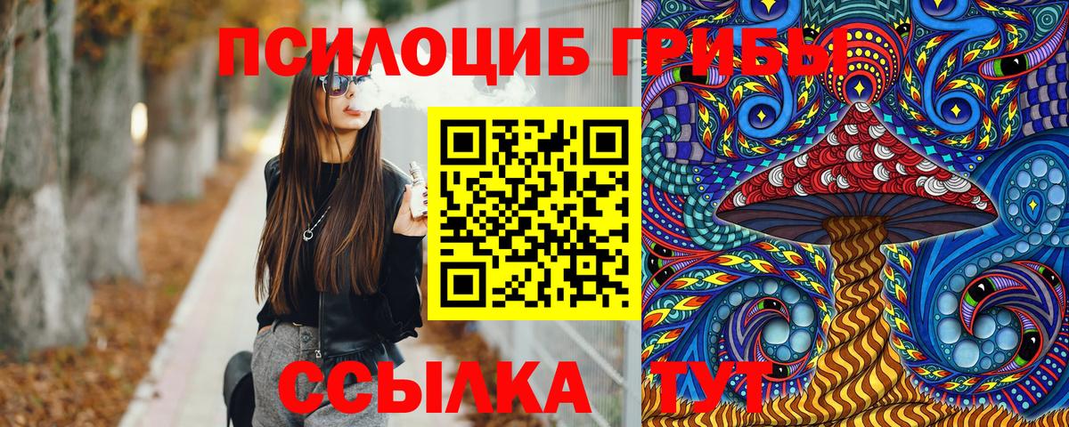 Галлюциногенные грибы Psilocybine cubensis Чистополь